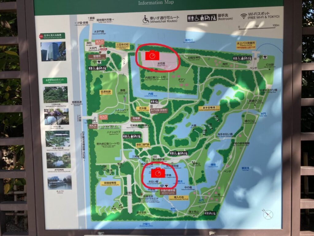 Hamrikyu Gardens View Spot Map