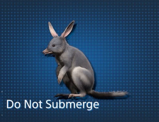 All Animal Capture Locations in Australia / Bilby【 Death Stranding2 / DS2 】