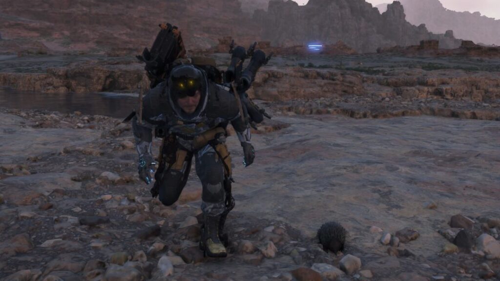 All Animal Capture Locations in Australia / With Echidna【 Death Stranding2 / DS2 】