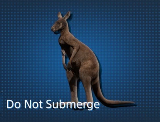 All Animal Capture Locations in Australia / Kangaroo【 Death Stranding2 / DS2 】