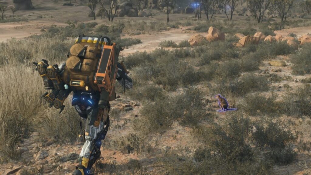 All Animal Capture Locations in Australia / With Quokka【 Death Stranding2 / DS2 】
