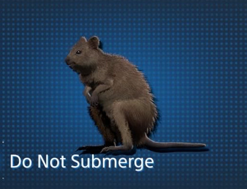 All Animal Capture Locations in Australia / Quokka【 Death Stranding2 / DS2 】