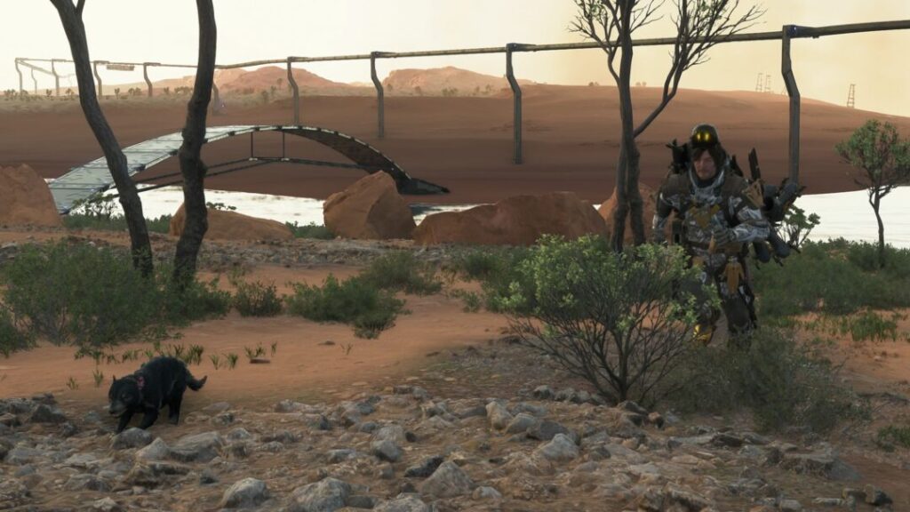 All Animal Capture Locations in Australia / With Tasmanian Devil【 Death Stranding2 / DS2 】