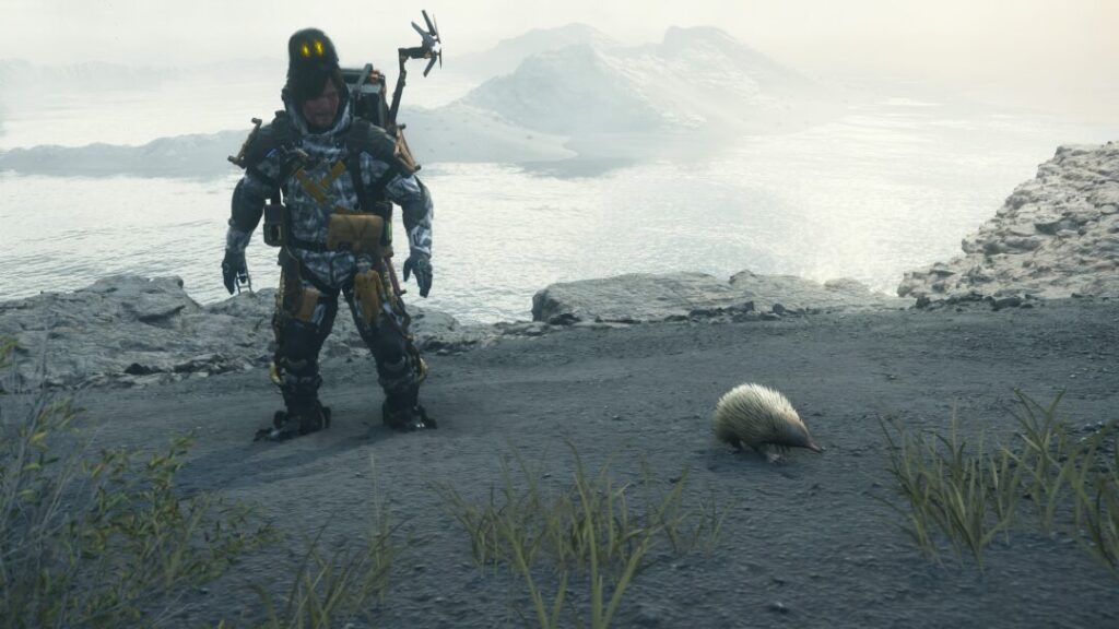All Animal Capture Locations in Australia / With White Echidna【 Death Stranding2 / DS2 】