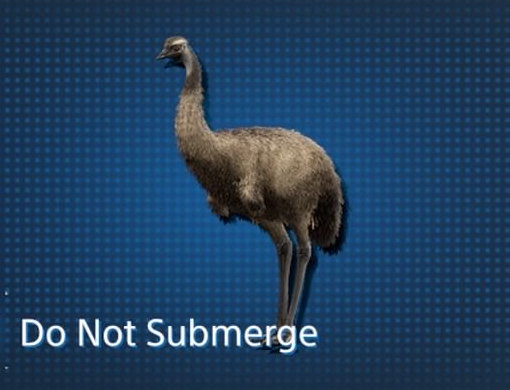 All Animal Capture Locations in Australia / Emu【 Death Stranding2 / DS2 】