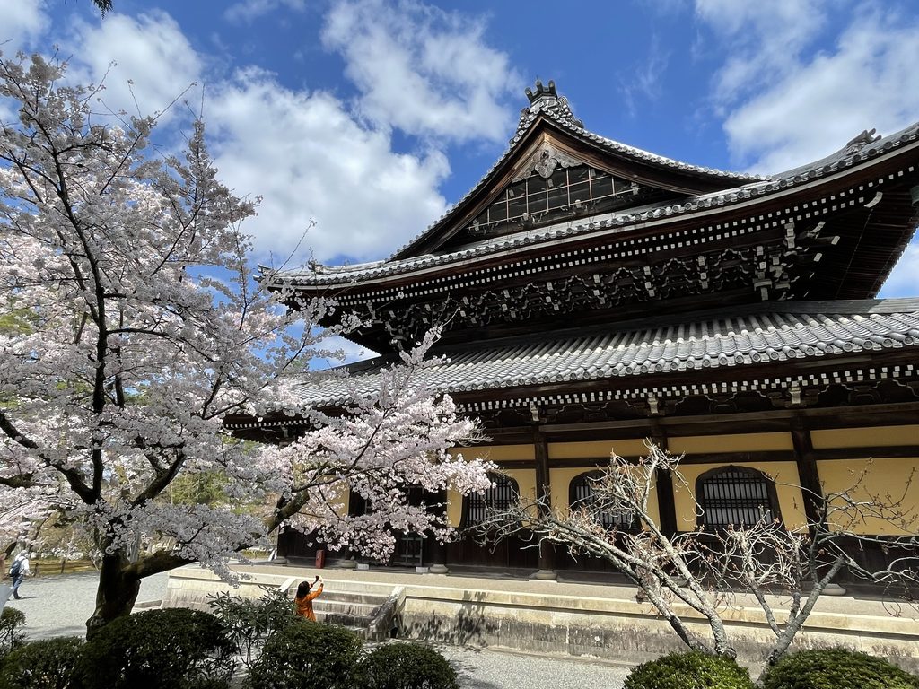 What Not to Do at Japanese Shrines and Temples / Kyoto Temple with sakura
